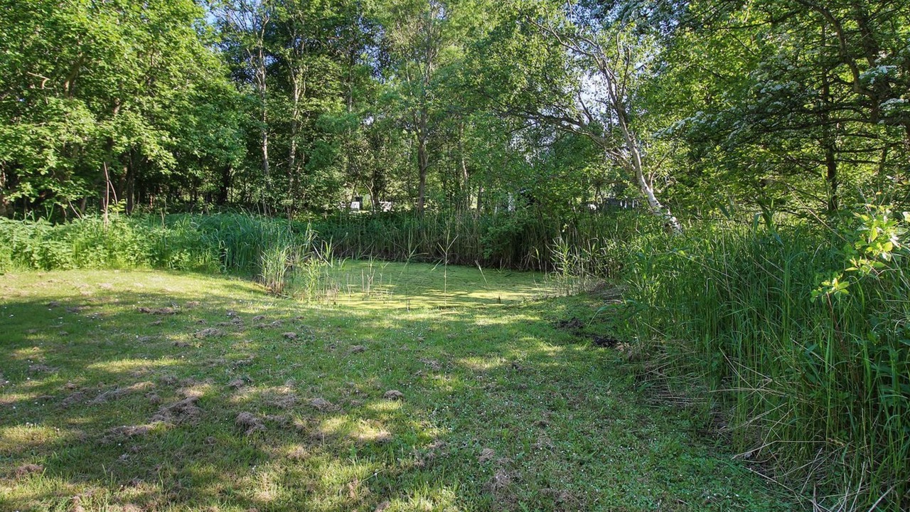 Photo of Others in Rodby