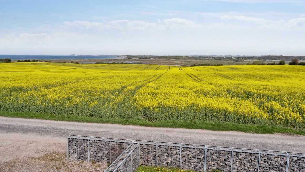Photo of Outdoor in Helnæs By