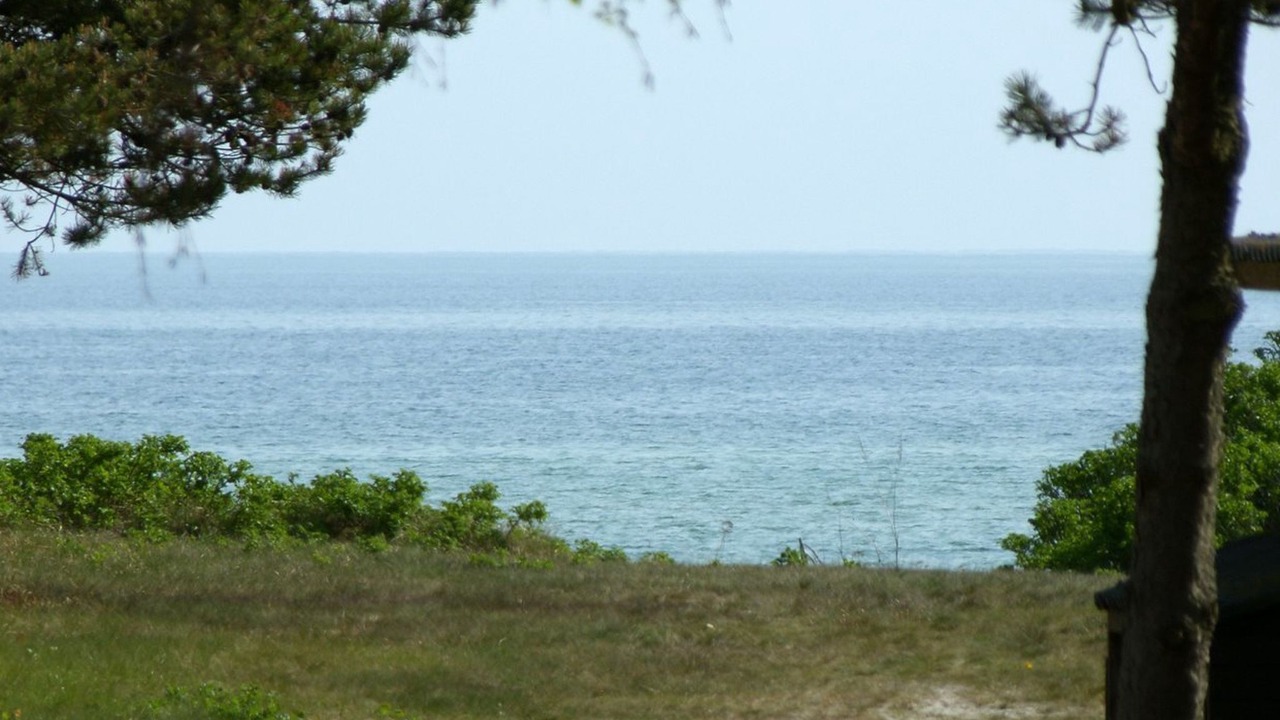 Photo of Others in Saksild Strand