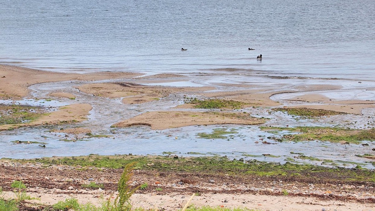 Photo of Outdoor in Aabenraa