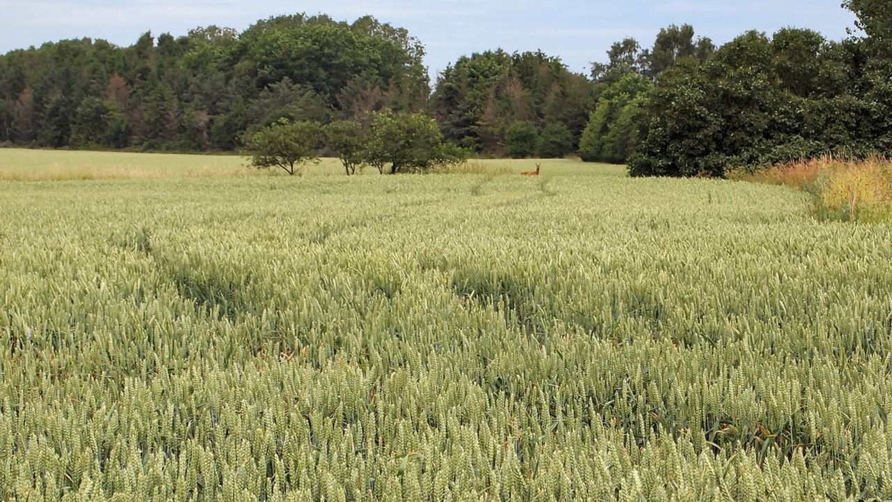 Photo of Outdoor in Holbaek