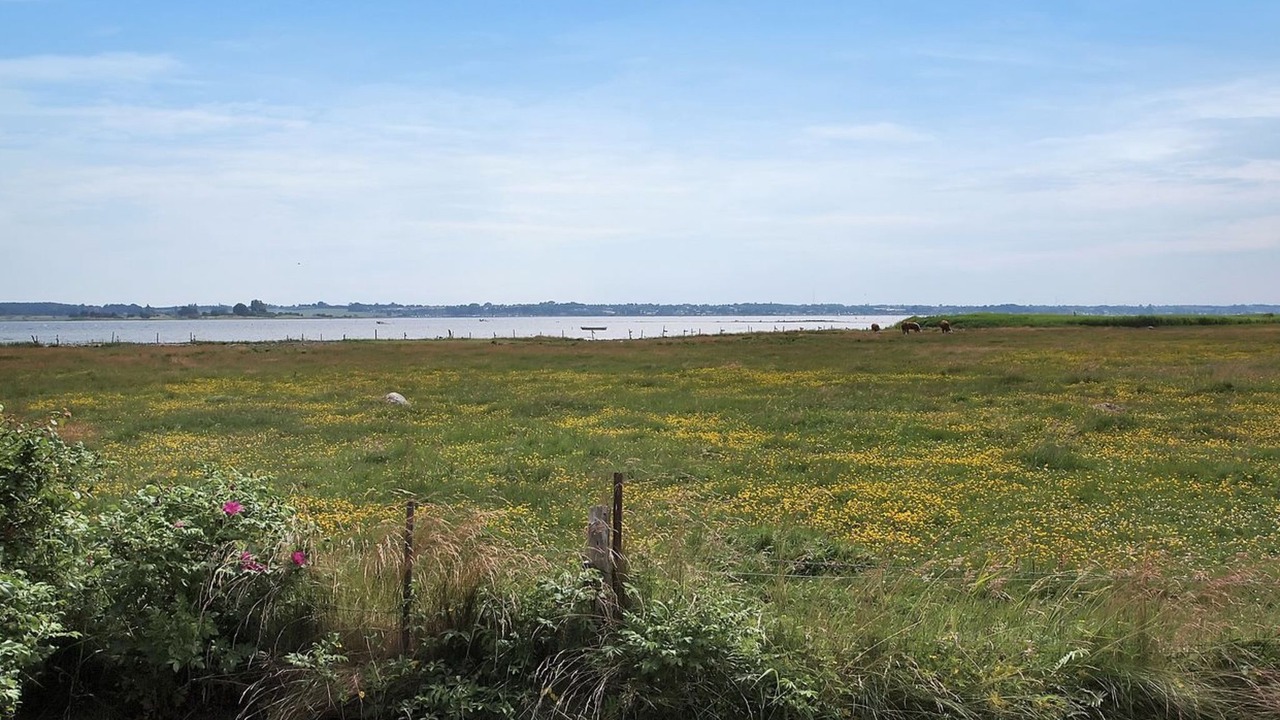 Photo of Outdoor in Holbaek
