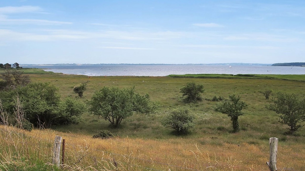 Photo of Outdoor in Holbaek
