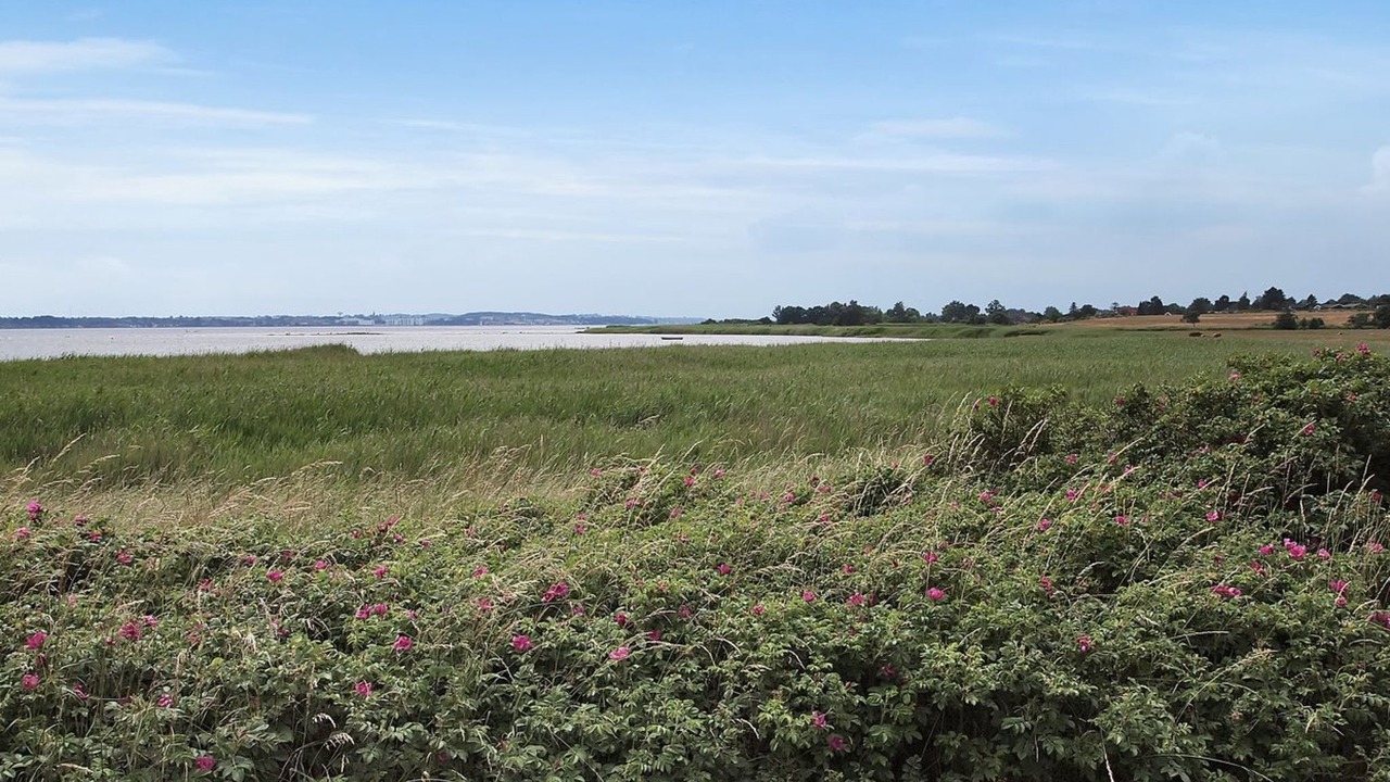 Photo of Outdoor in Holbaek