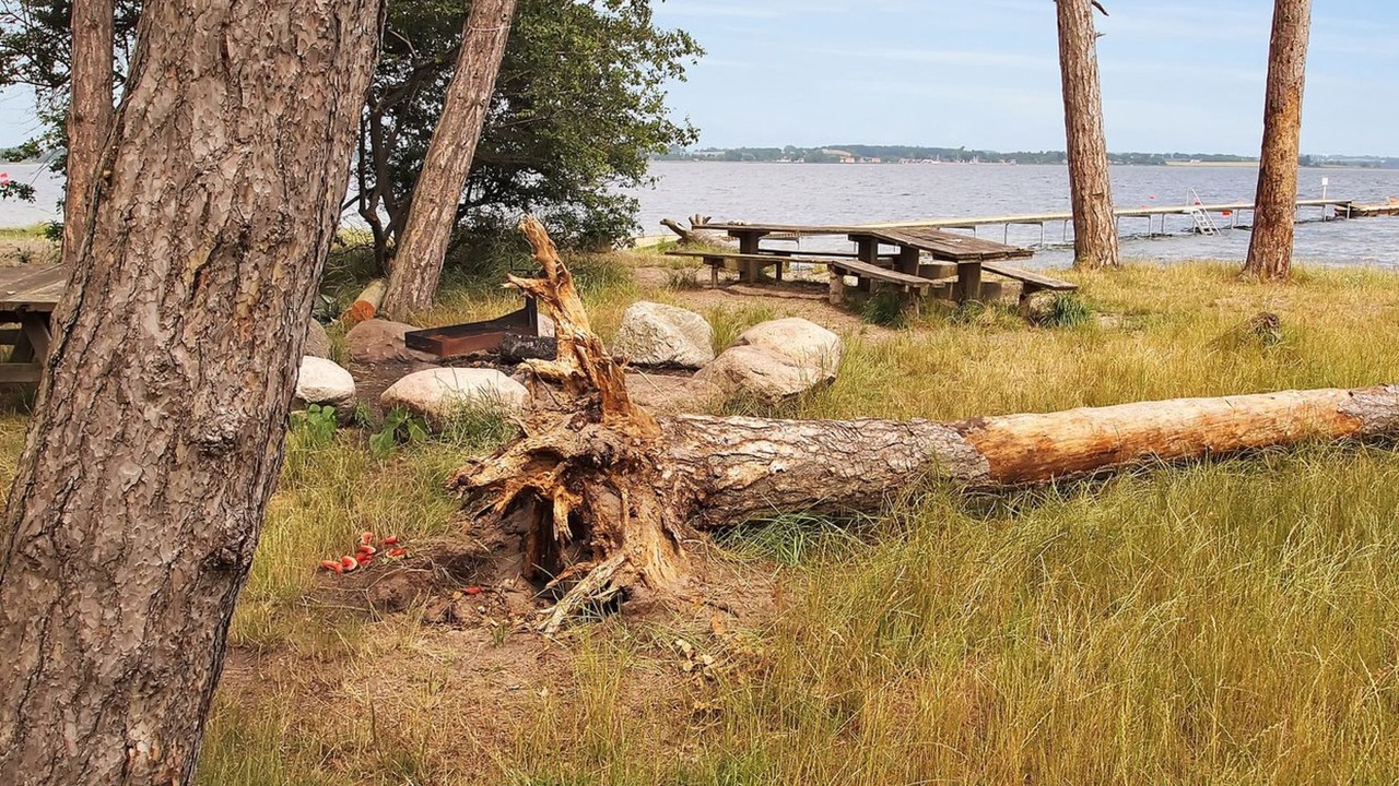 Photo of Outdoor in Holbaek