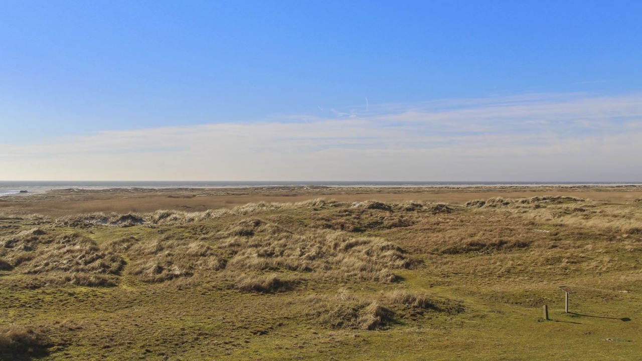 Photo of Others in Rindby Strand