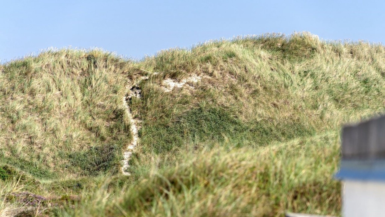 Photo of Others in Rødhus