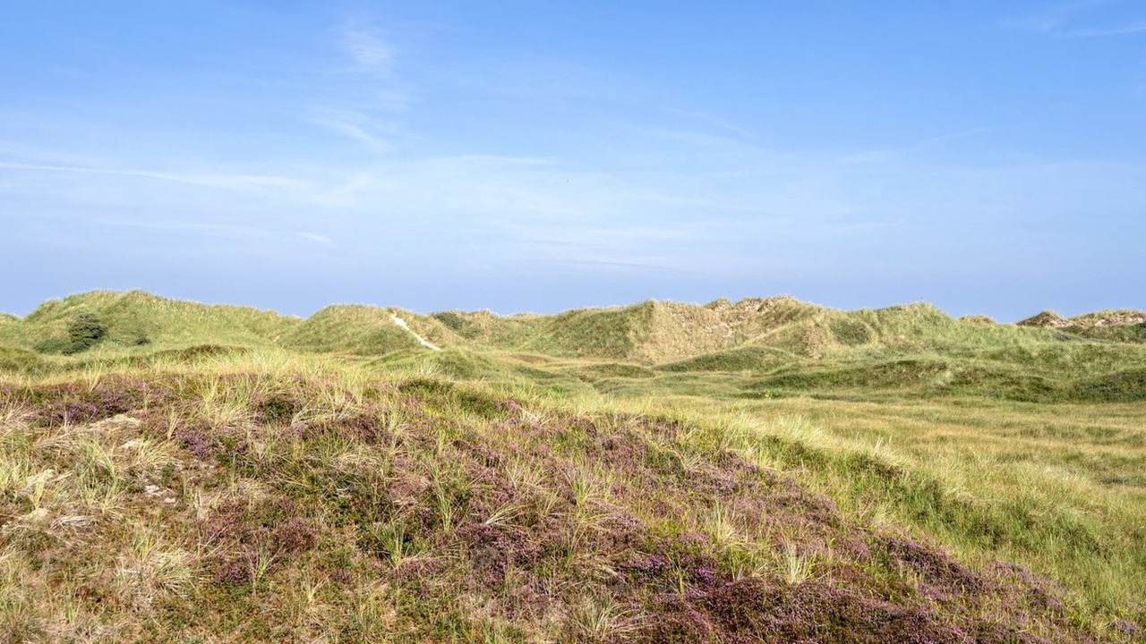 Photo of Others in Rødhus