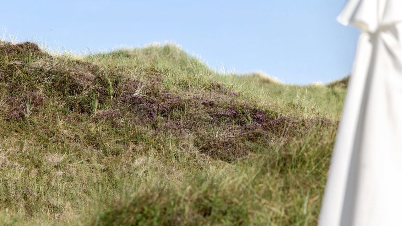 Photo of Others in Rødhus