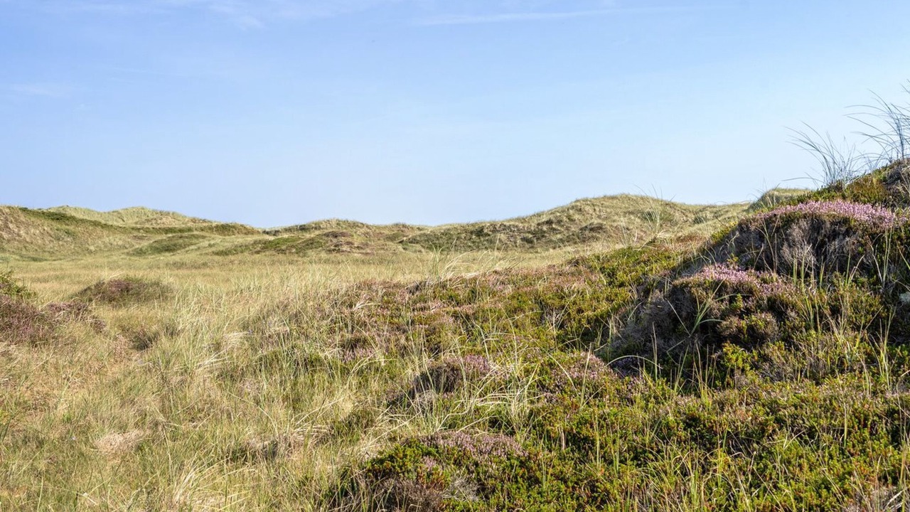 Photo of Others in Rødhus