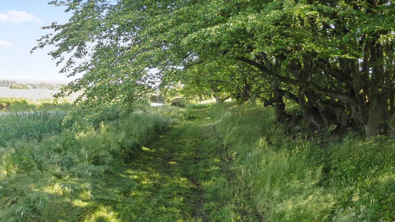 Photo of Others in Sønder Felding
