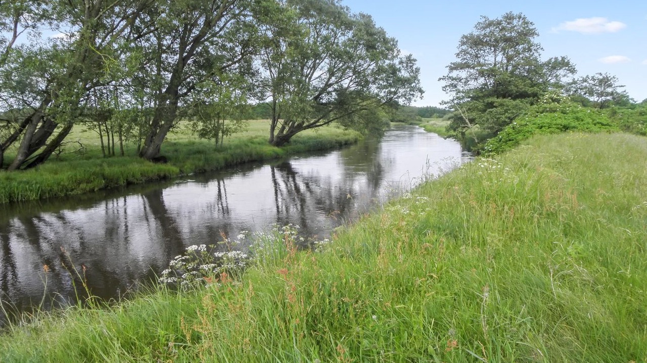 Photo of Others in Sønder Felding