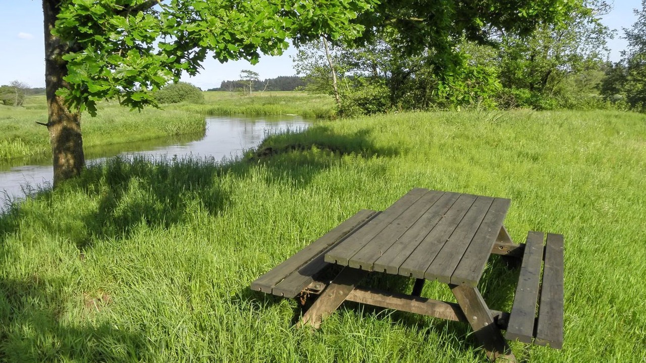 Photo of Others in Sønder Felding