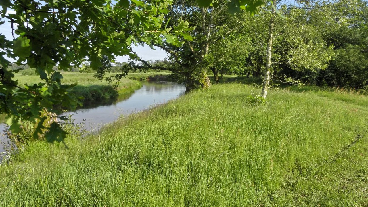 Photo of Others in Sønder Felding
