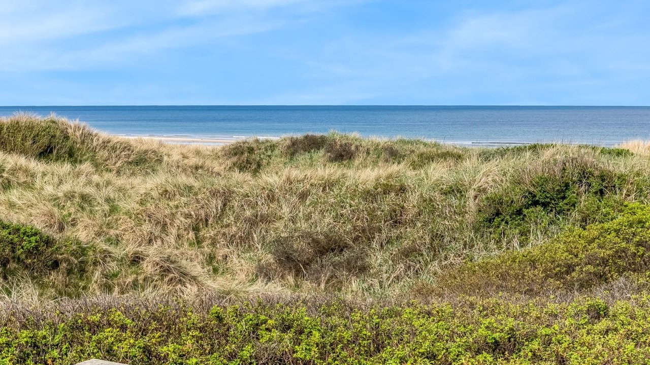 Photo of Others in Rødhus