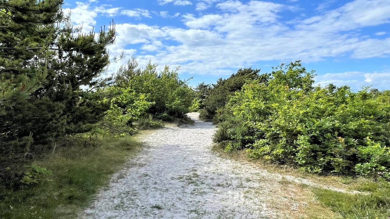 Photo of Outdoor in Hoeve Strand