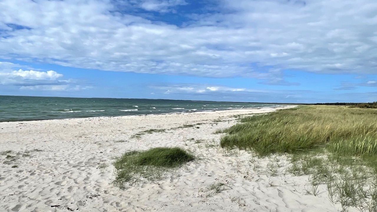Photo of Outdoor in Hoeve Strand