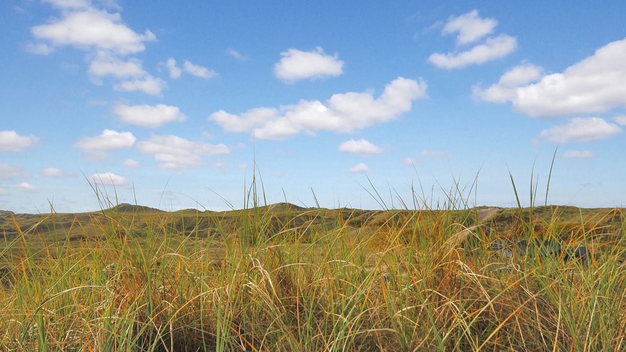 Photo of Outdoor in Bjerregard Strand