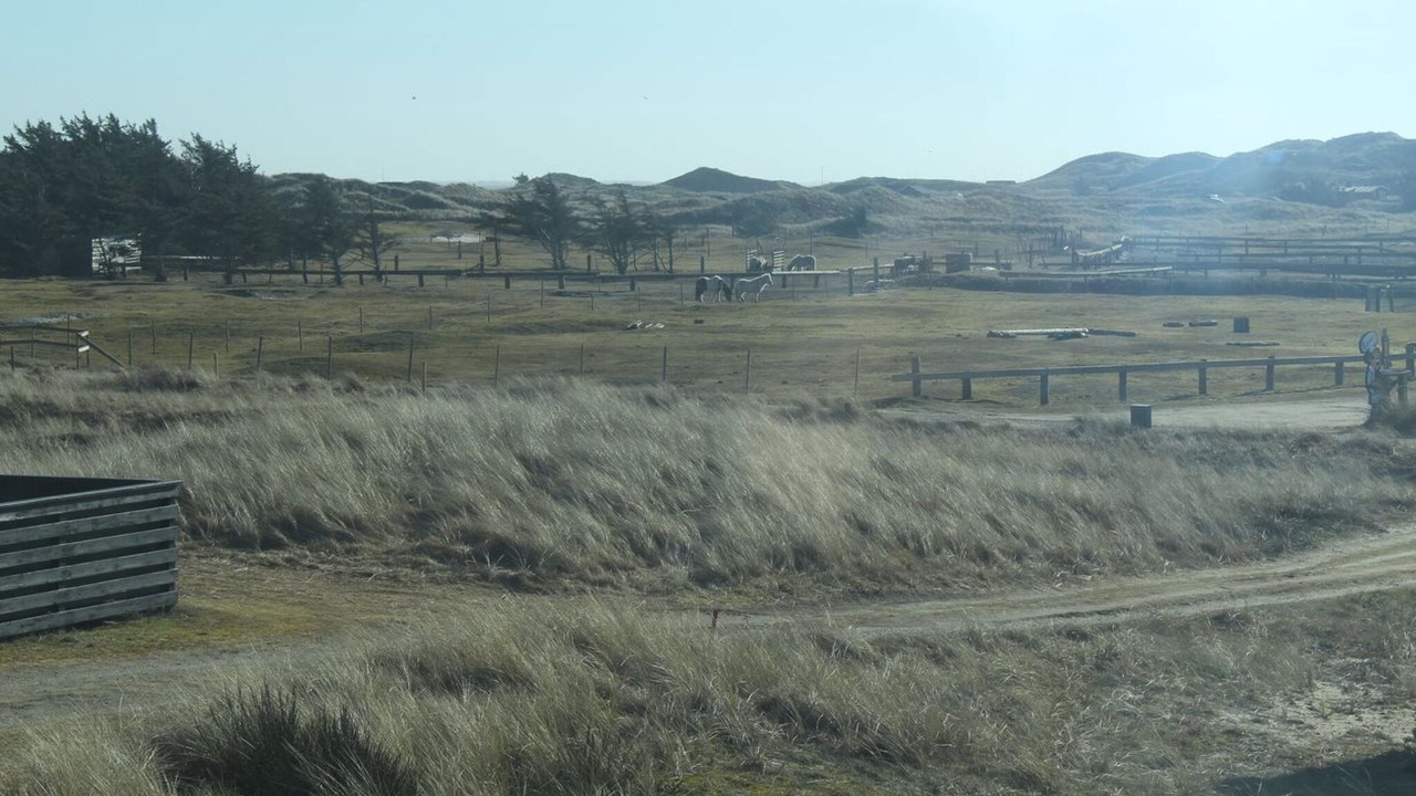 Photo of Outdoor in Haurvig
