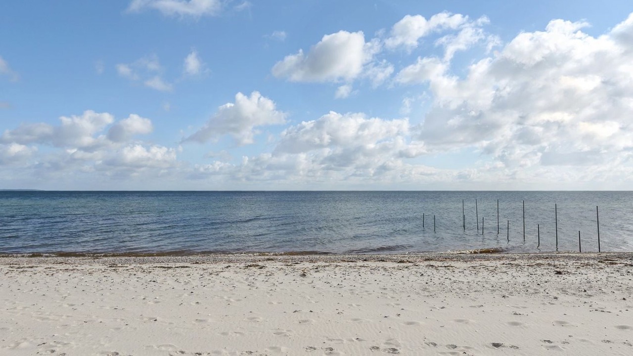 Photo of Others in Nyborg