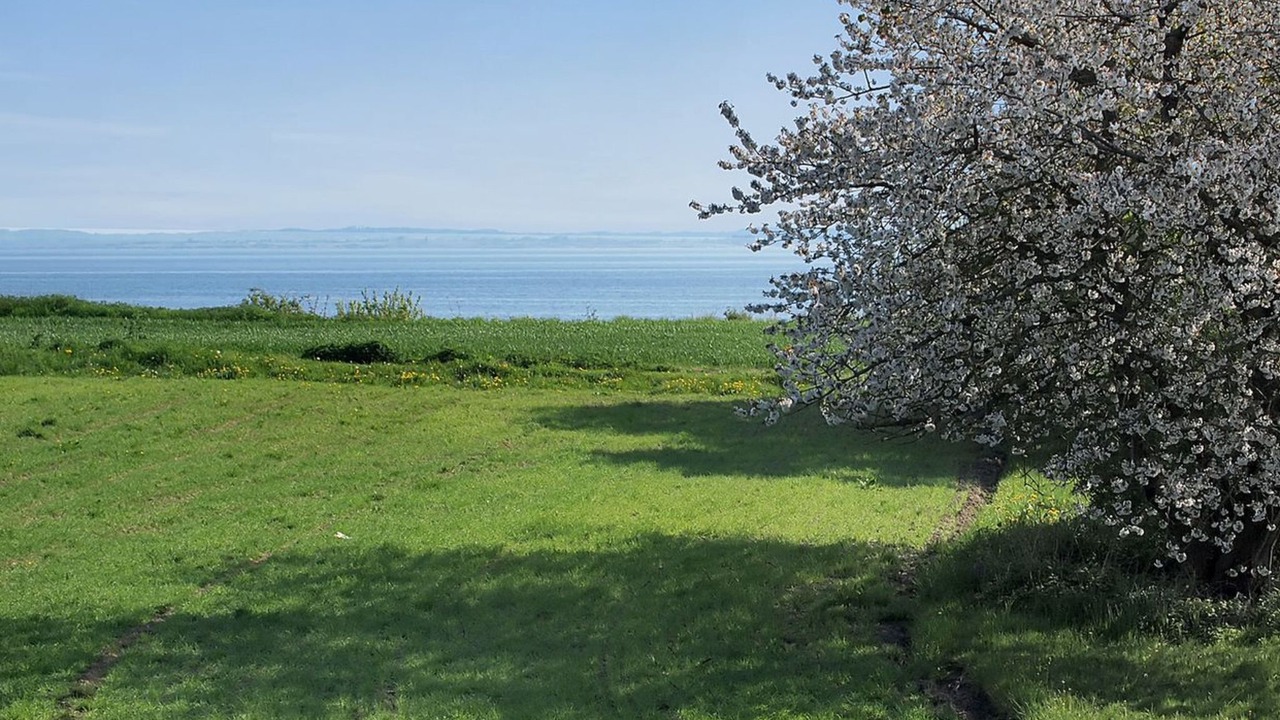 Photo of Others in Kettingskov