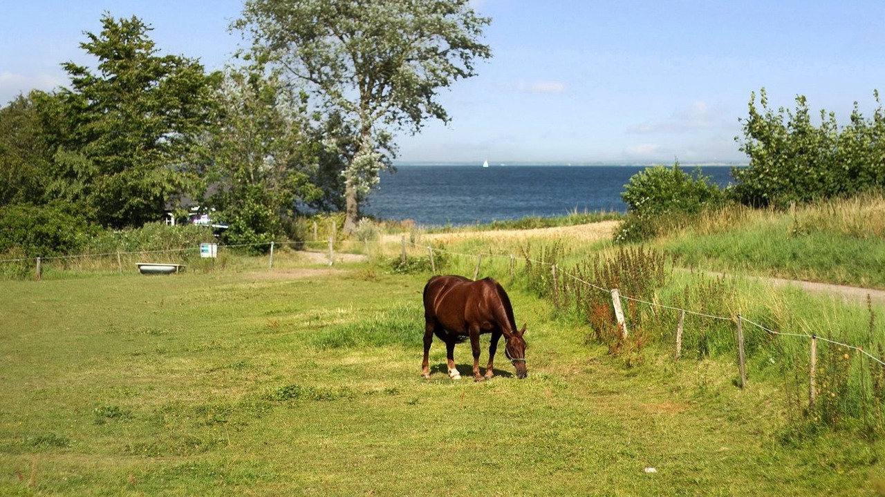 Photo of Others in Kettingskov