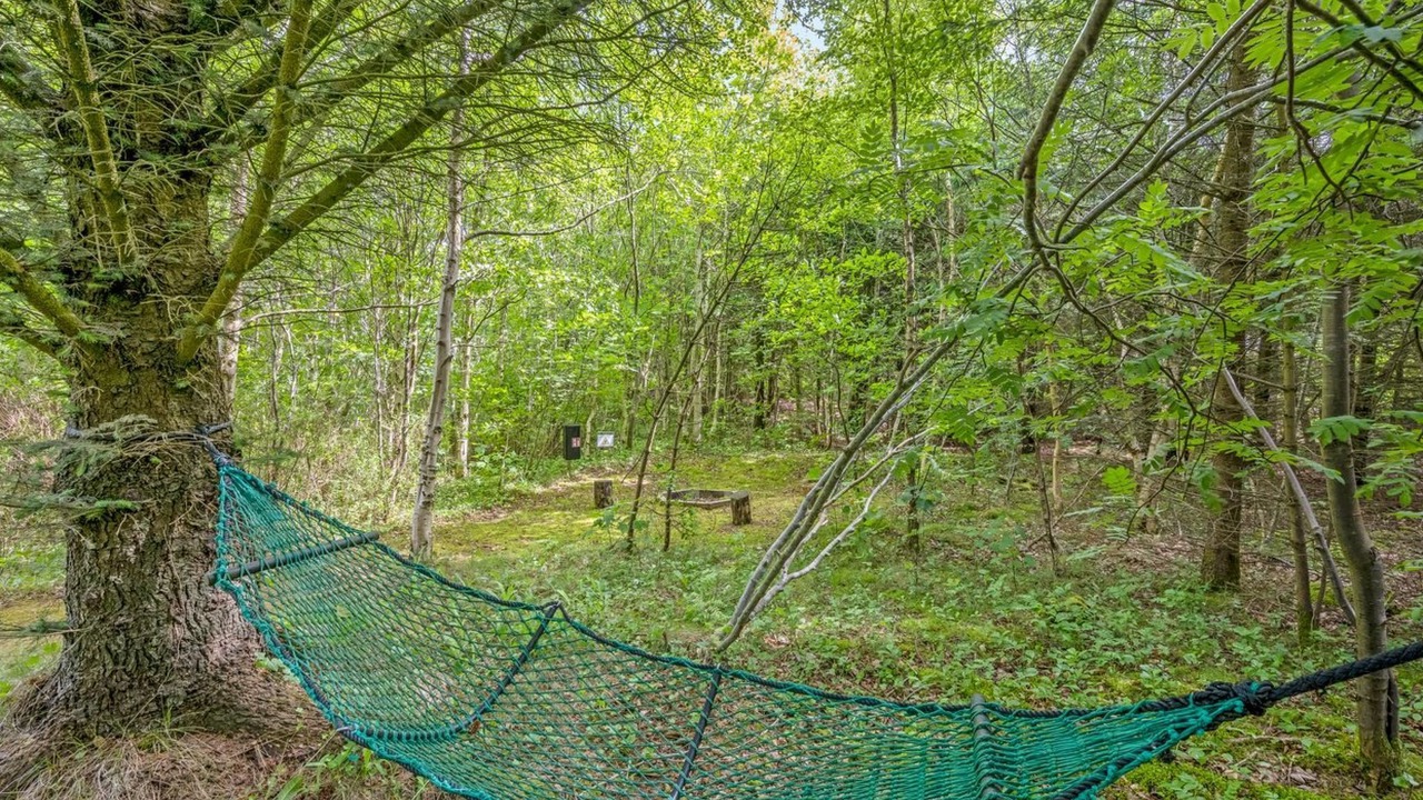 Photo of Outdoor in Lodbjerg Hede
