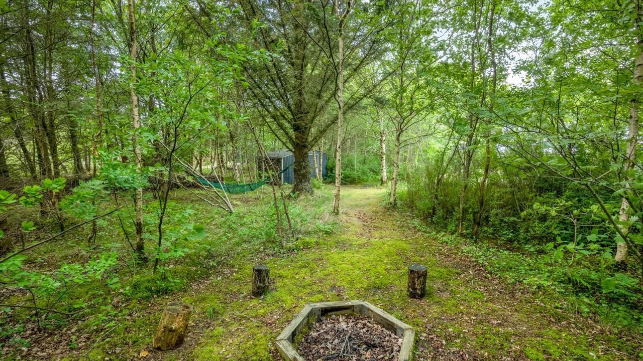 Photo of Outdoor in Lodbjerg Hede