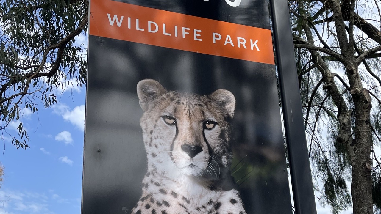 Photo of Others in Surf Beach