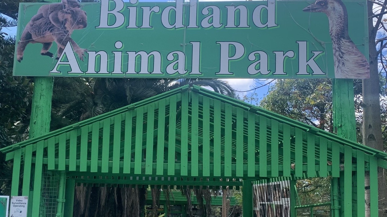 Photo of Others in Surf Beach