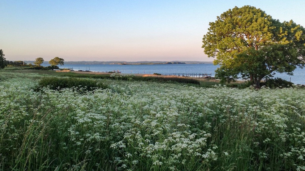 Photo of Others in Helnæs By
