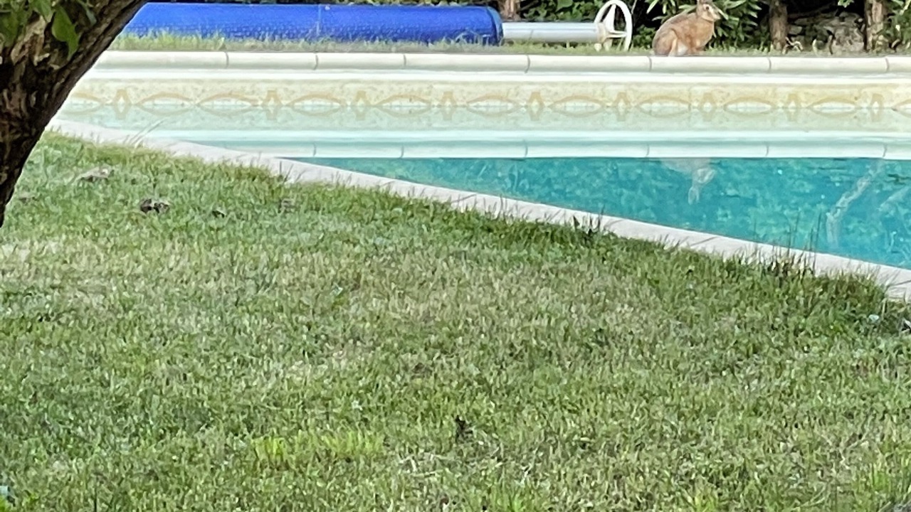 Photo of Outdoor in Saux