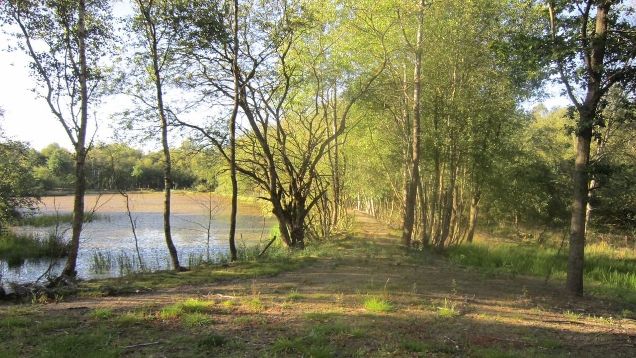 Photo of Outdoor in Silkeborg