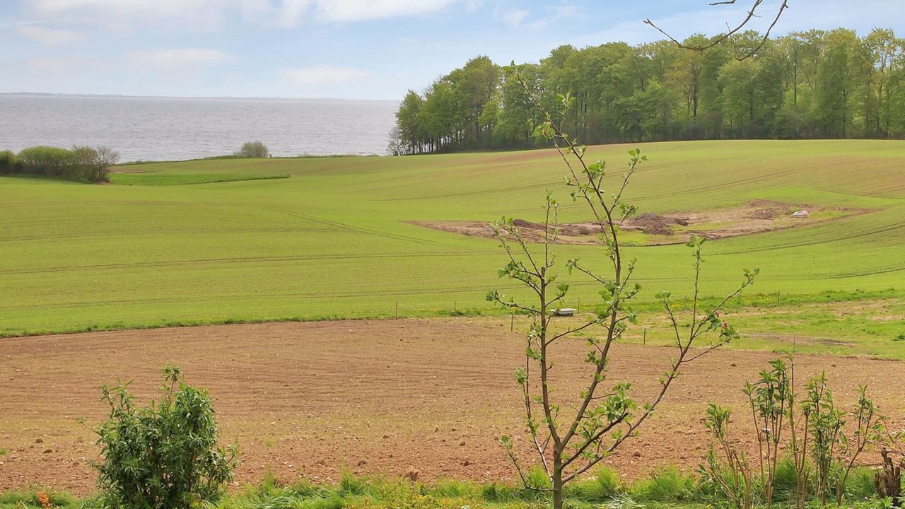 Photo of Others in Kettingskov