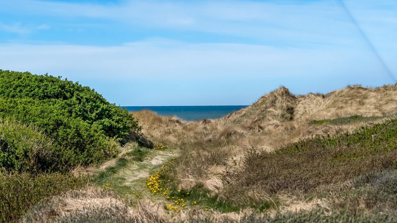 Photo of Outdoor in Hvorup Klit