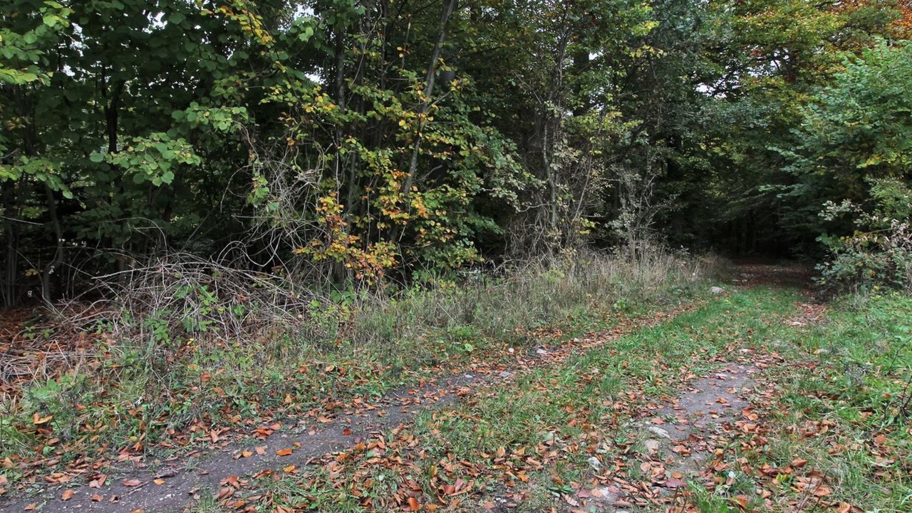 Photo of Outdoor in Stubbekobing