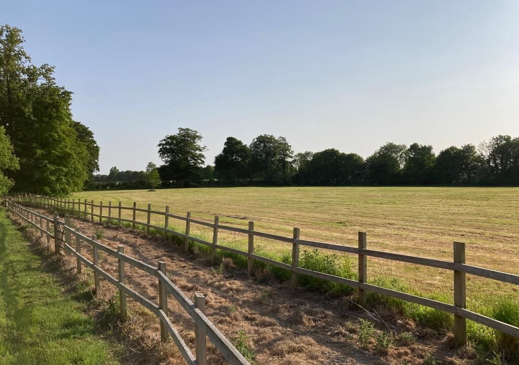 Photo of Others in Longvilliers