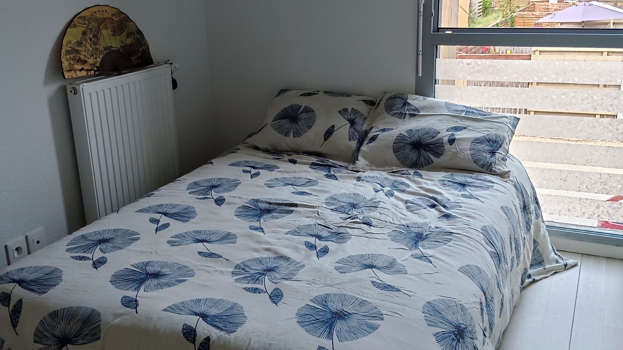 Photo of Bedroom in Blanquefort