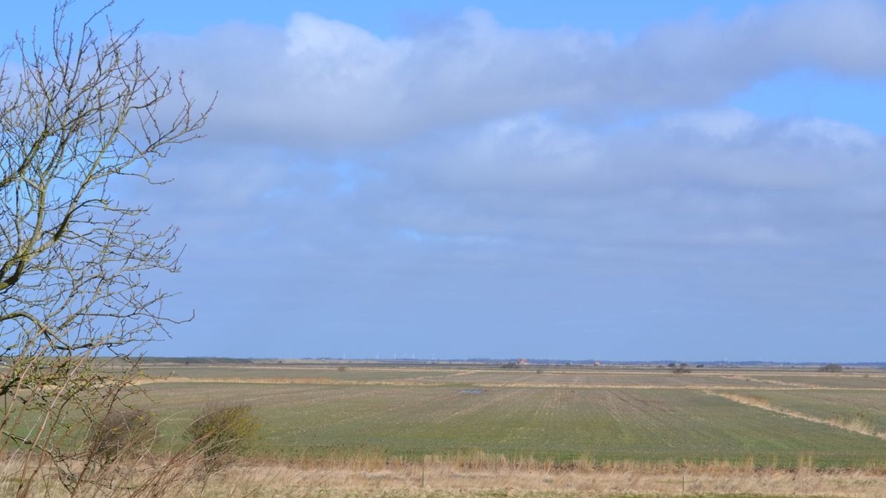 Photo of Outdoor in Ballum