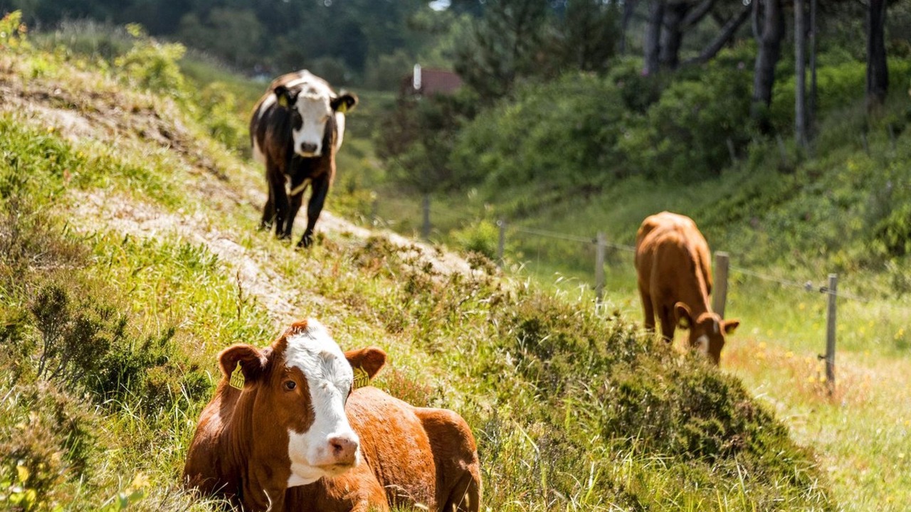 Photo of Outdoor in Yderby