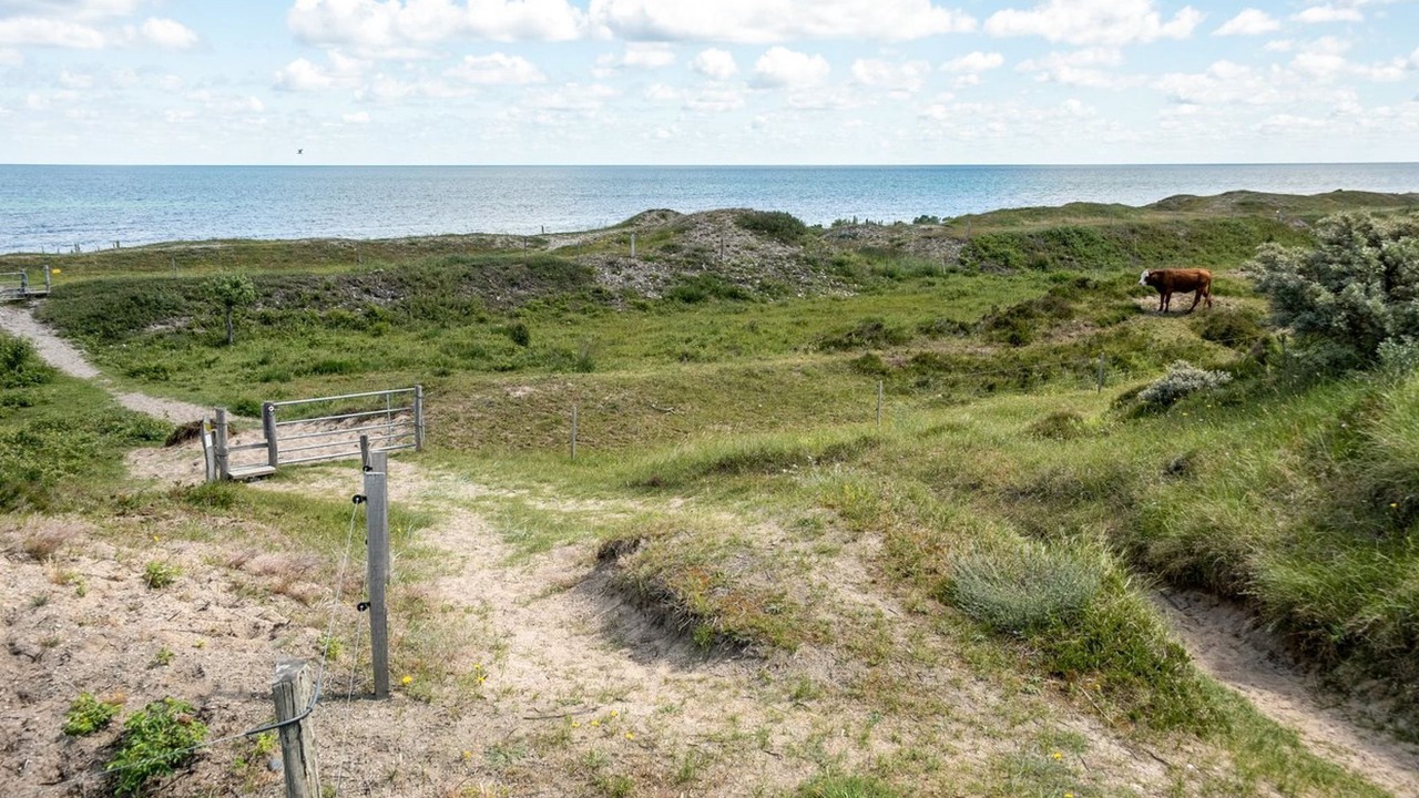 Photo of Outdoor in Yderby