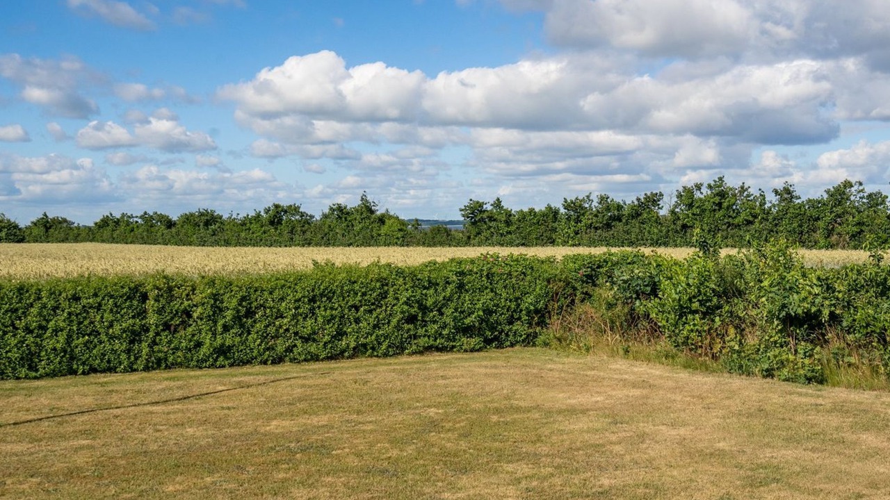 Photo of Others in Ertebølle