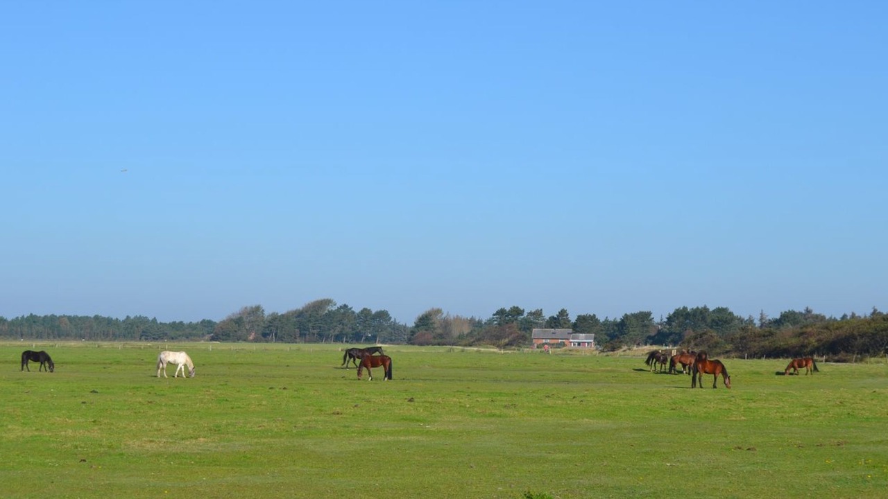 Photo of Outdoor in Toftum
