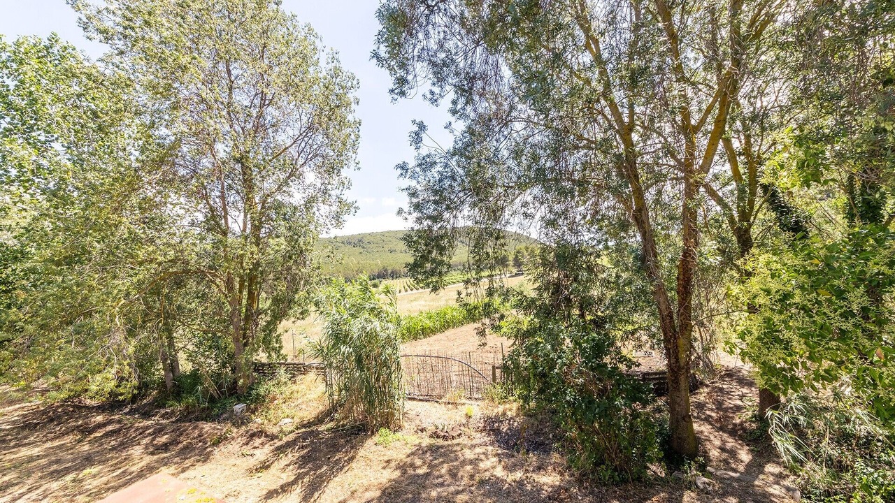 Photo of Outdoor in El Montmell