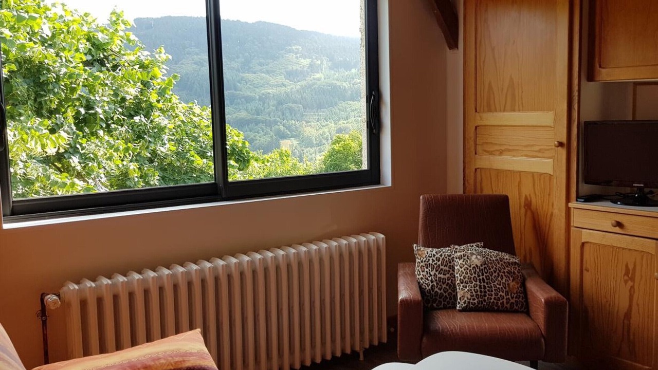 Photo of Livingroom in Laprugne