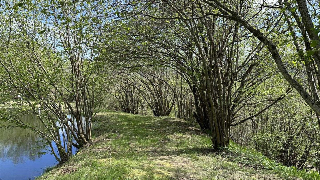 Photo of Others in Laprugne