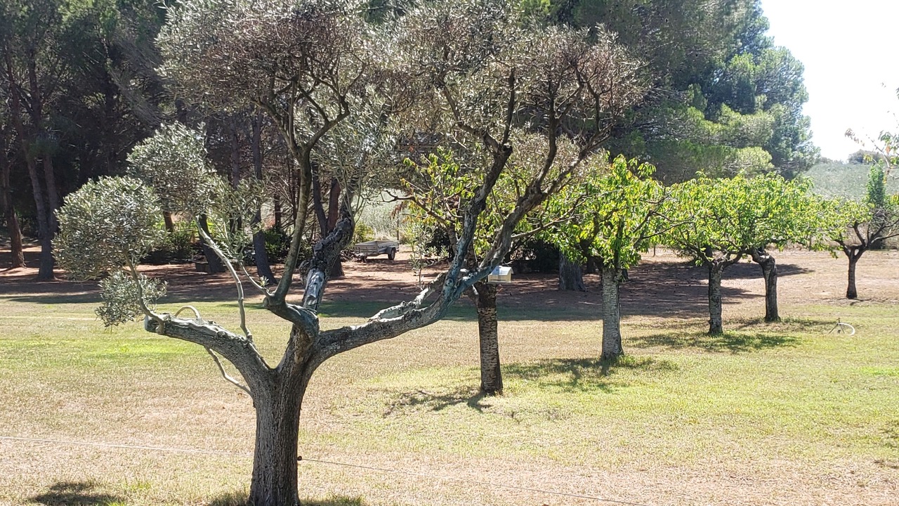Photo of Outdoor in Beziers