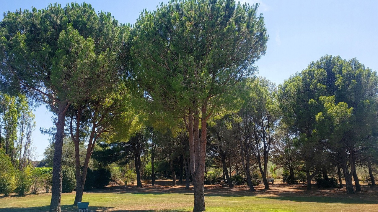 Photo of Others in Beziers