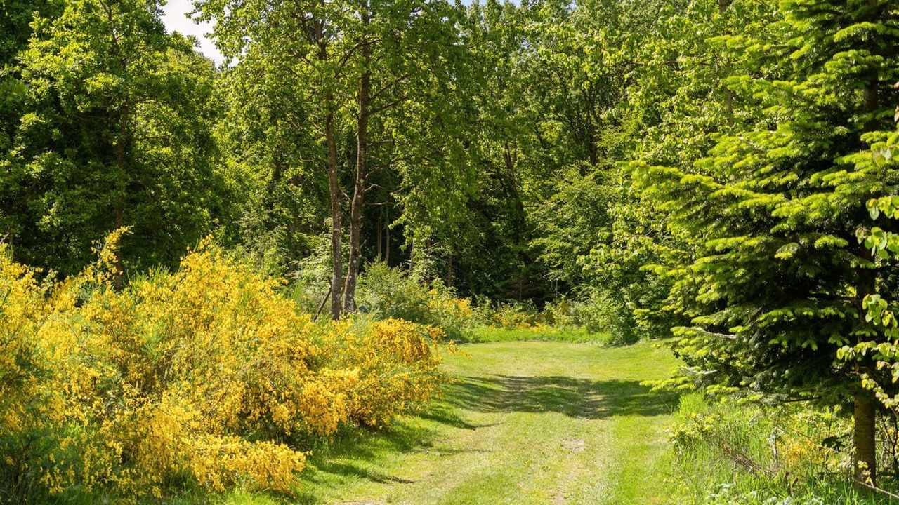 Photo of Outdoor in Nordost