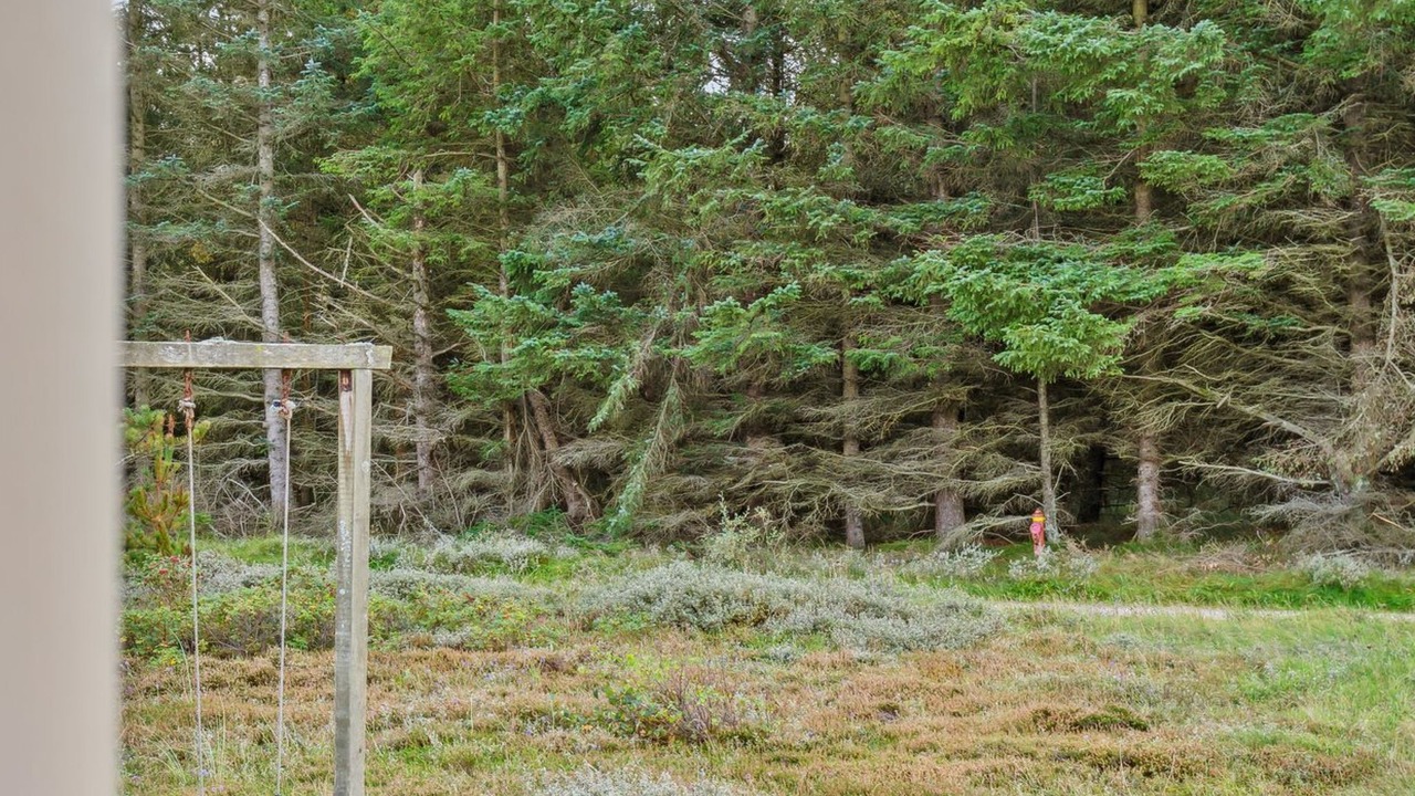 Photo of Outdoor in Klitmoller